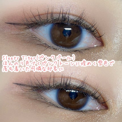 ムジークタイガープレイカラーアイズ/ETUDE/アイシャドウパレットを使ったクチコミ(7枚目)