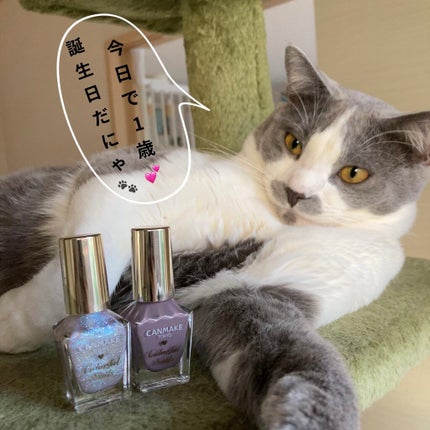 カラフルネイルズ/キャンメイク/マニキュアを使ったクチコミ(4枚目)