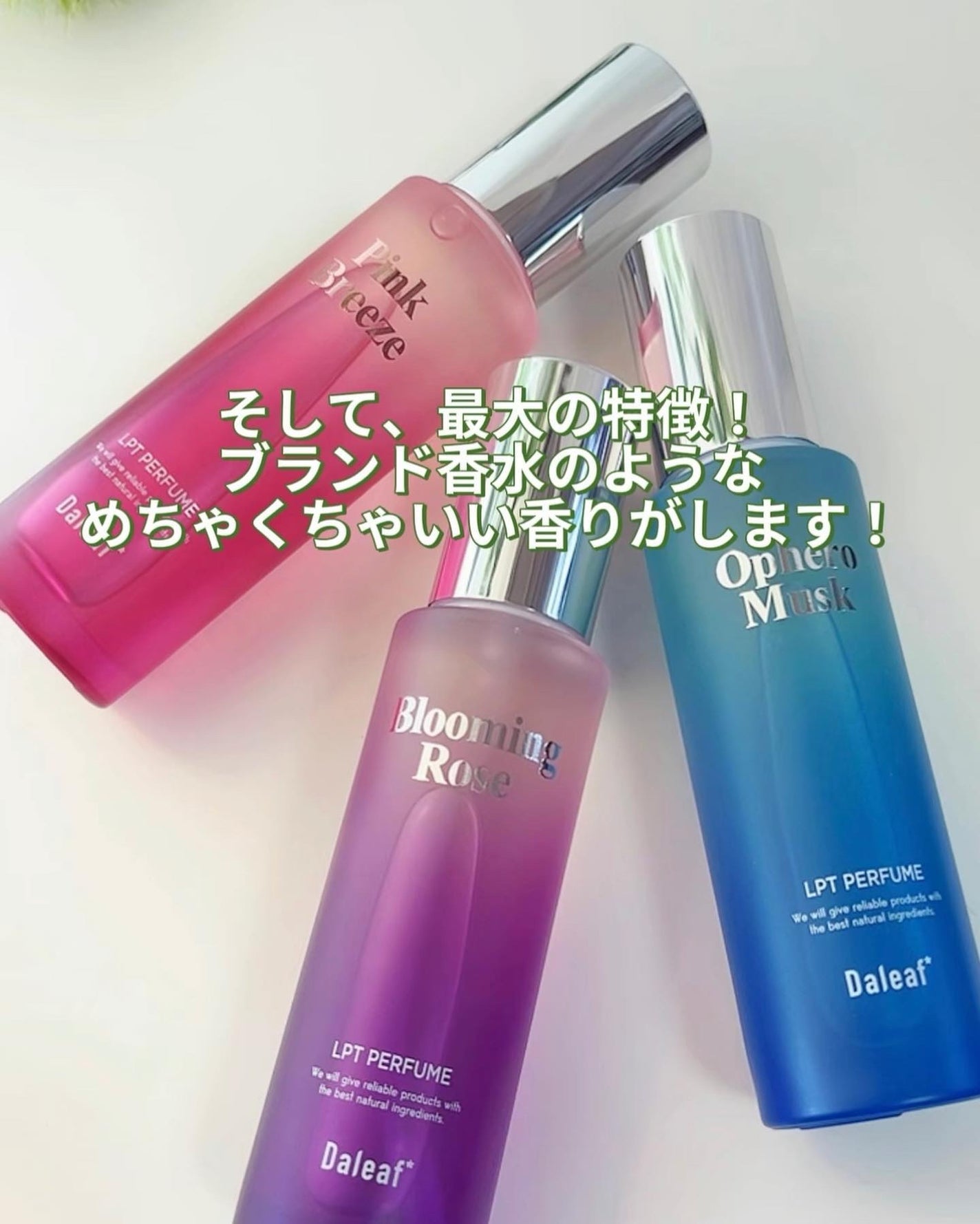 LPTケラチンパフュームポリッシュオイル/Daleaf/その他スタイリングを使ったクチコミ(6枚目)