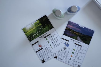 香りで「ととのう」セルフケアバスソルト Chapon/Chapon/無機塩系入浴剤を使ったクチコミ(3枚目)