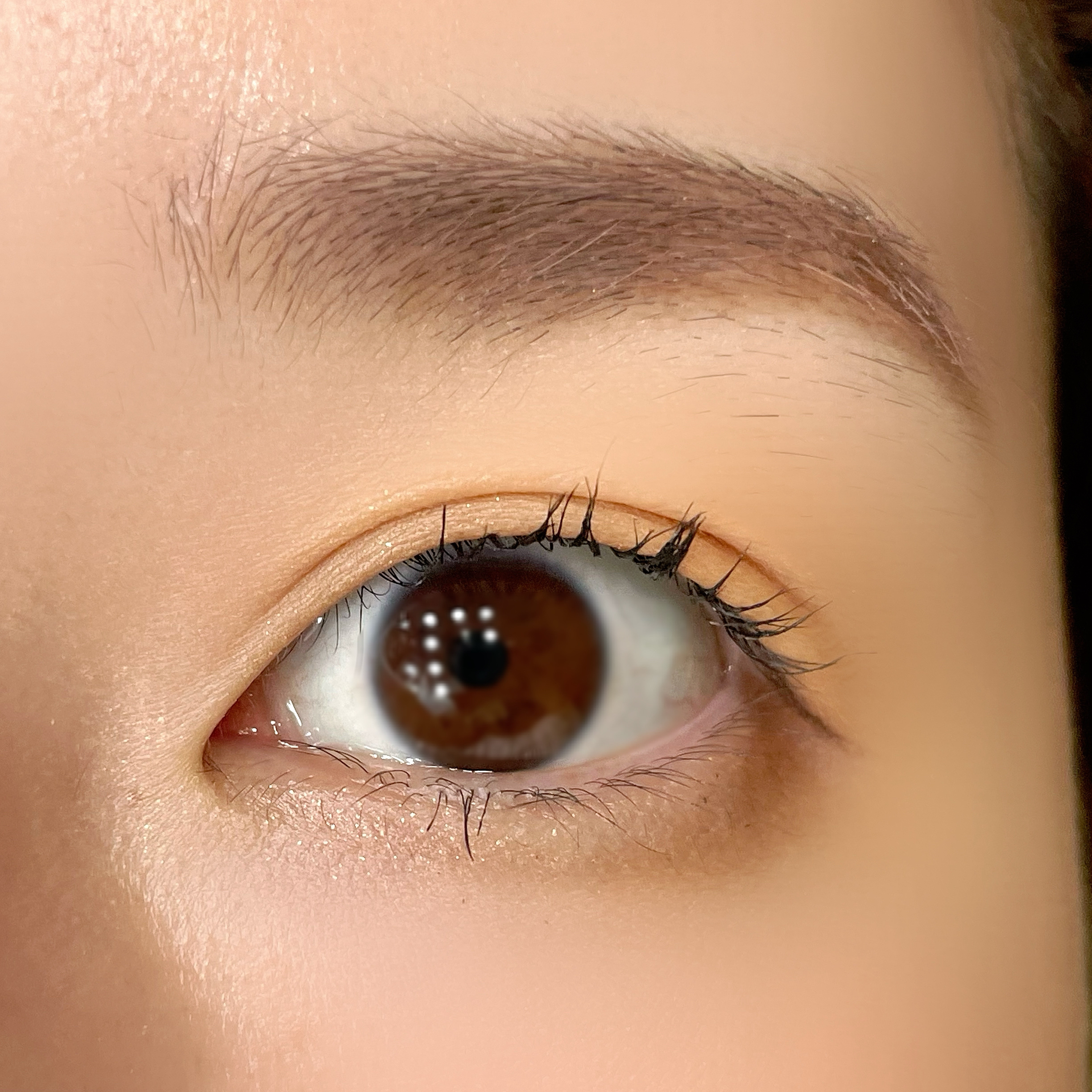 ラッシュアディクト ラッシュ トランスカラ/soaddicted/マスカラ下地を使ったクチコミ（3枚目）