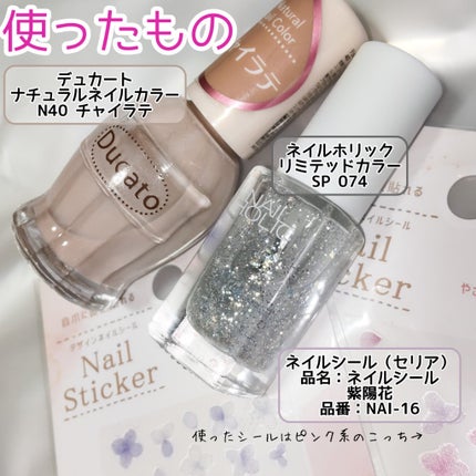 ネイルホリック リミテッドカラー Sea Shell SP074/ネイルホリック/マニキュアの画像