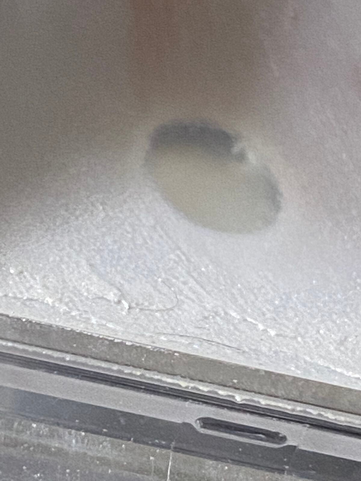 アイシャドウベース/キャンメイク/アイシャドウベースを使ったクチコミ(2枚目)