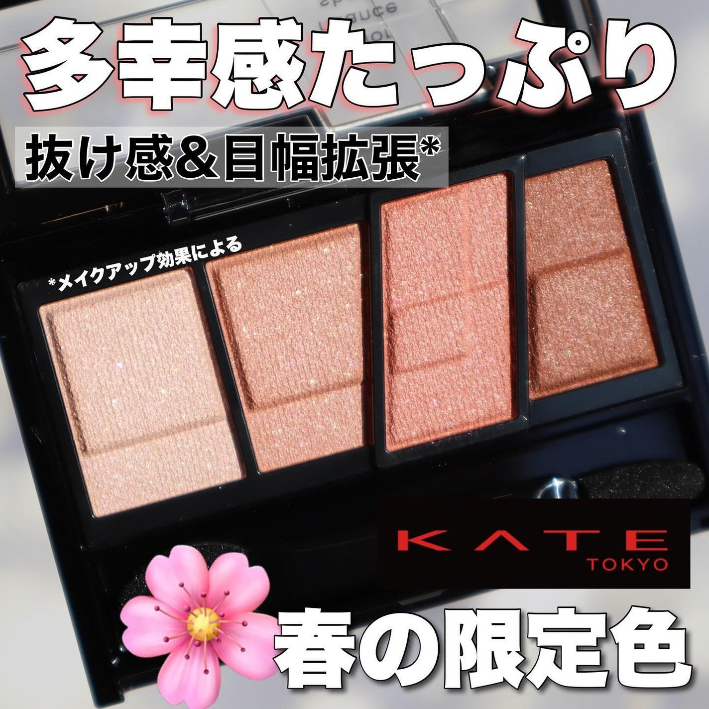 デザイニングブラウンアイズ/KATE/アイシャドウパレットを使ったクチコミ(1枚目)