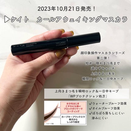ケイト カールアウェイキングマスカラ/KATE/マスカラを使ったクチコミ(2枚目)