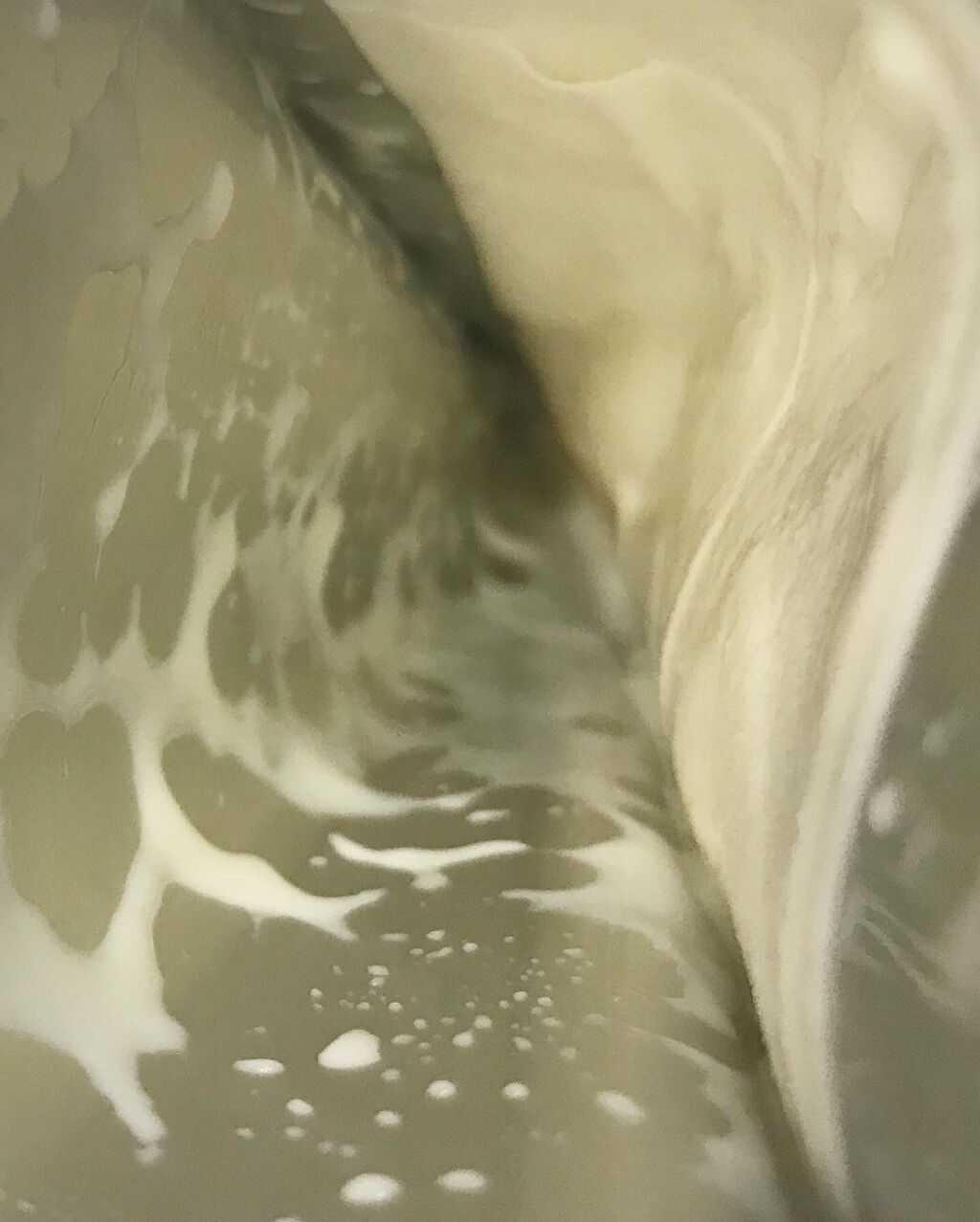 エッセンスマスクLX/ミキモト コスメティックス/シートマスク・パックを使ったクチコミ（2枚目）