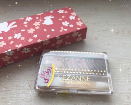 ティアー アイライナー/ETUDE/リキッドアイライナーを使ったクチコミ(1枚目)