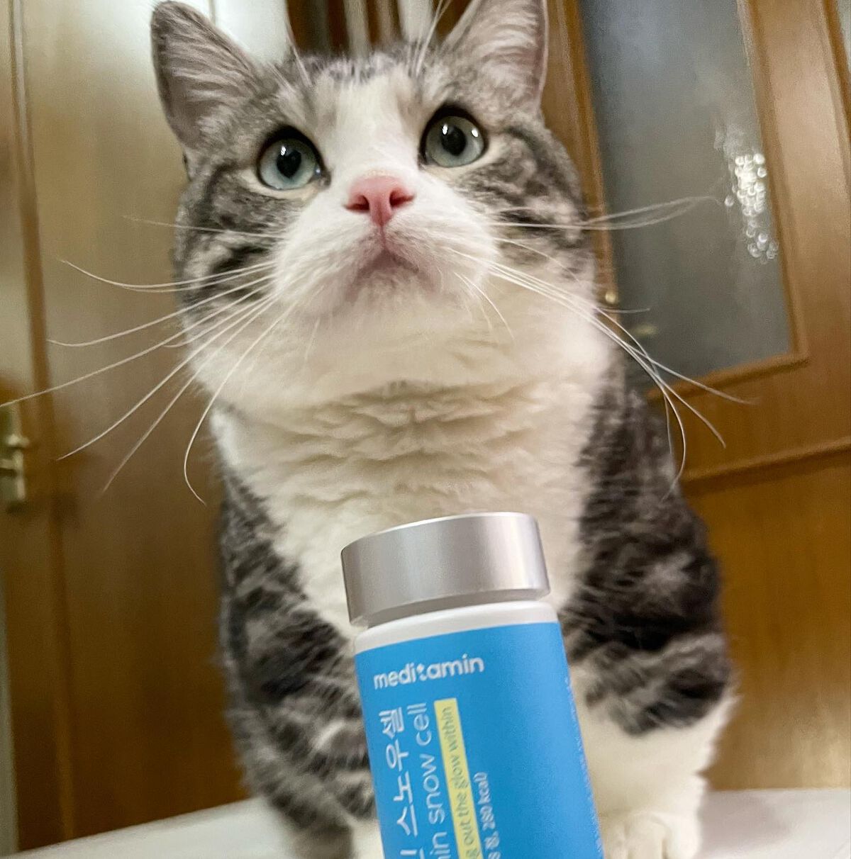 スノーセル/メディタミン/美容サプリメントを使ったクチコミ（1枚目）