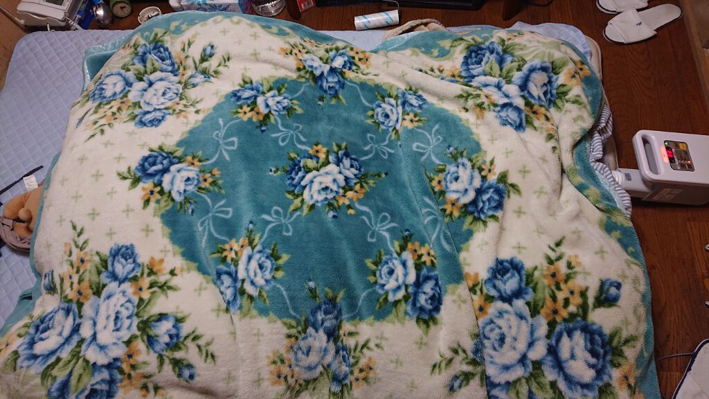 にゃーにゃ一団 on LIPS 「おはようございます(・・;)今日は朝から天気が悪いですね(__..」(3枚目)