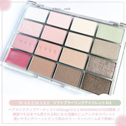 ソフトブラーリングアイパレット/wakemake/アイシャドウパレットを使ったクチコミ(2枚目)