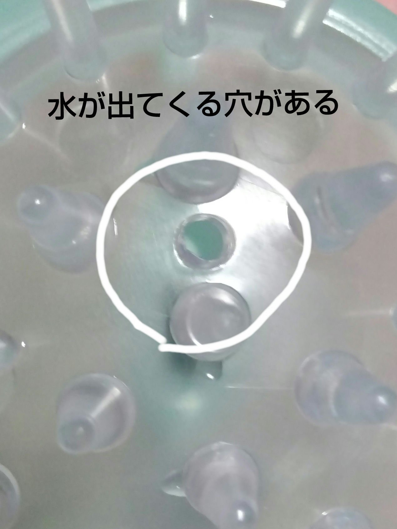 頭皮スッキリシャンプーブラシ/DAISO/スカルプブラシを使ったクチコミ（3枚目）