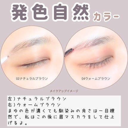 ブロウラッシュEX ウルトラスキニーペンシルブロウ N/ブロウラッシュ/アイブロウペンシルを使ったクチコミ(6枚目)