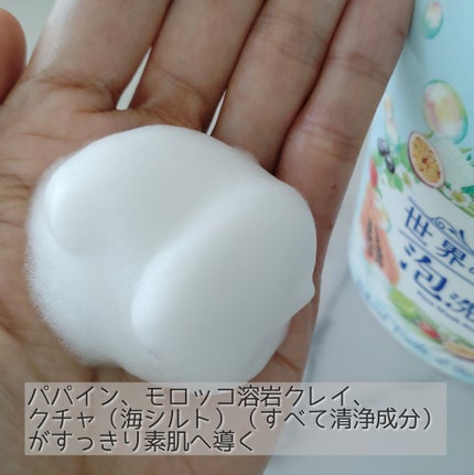 世界の果実 すっきり泡洗顔/世界の果実/泡洗顔を使ったクチコミ(3枚目)