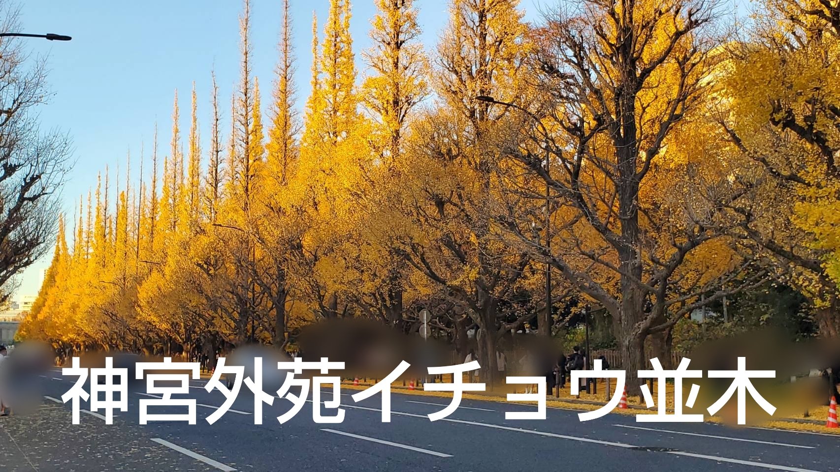 MERZY ザ  ヘリテージ  チークのクチコミ「🍁🍁🍁🍁🍁🍁🍁🍁🍁🍁🍁🍁🍁
神宮外苑イチョウ並木

こみこみ

気になってる方は ぜひチェック.....」（1枚目）