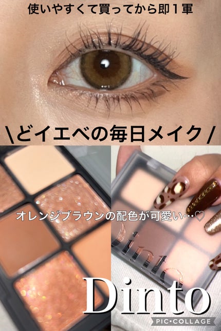 ブラーフィニシュシャドウパレット/Dinto/アイシャドウパレットを使ったクチコミ(1枚目)