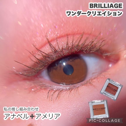 ワンダークリエイション /ブリリアージュ/単色アイシャドウを使ったクチコミ(6枚目)
