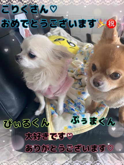 ミニネイル/パラドゥ/マニキュアを使ったクチコミ(5枚目)