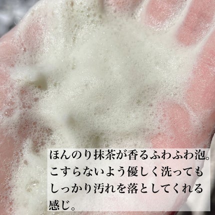 ワフードメイド 宇治抹茶酵素洗顔/pdc/洗顔パウダーを使ったクチコミ(2枚目)