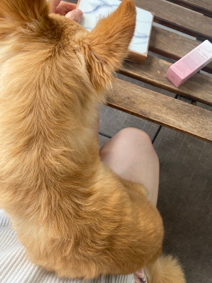 MESMERIZING MOMENT COLLECTION PALETTE/DEAR DAHLIA/アイシャドウパレットを使ったクチコミ(6枚目)