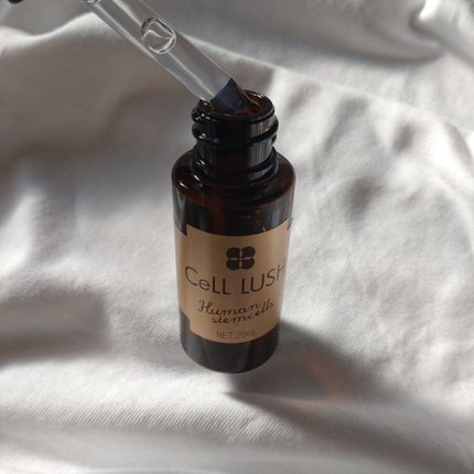 ヒト幹細胞配合美容液/セルラッシュ/美容液を使ったクチコミ(2枚目)