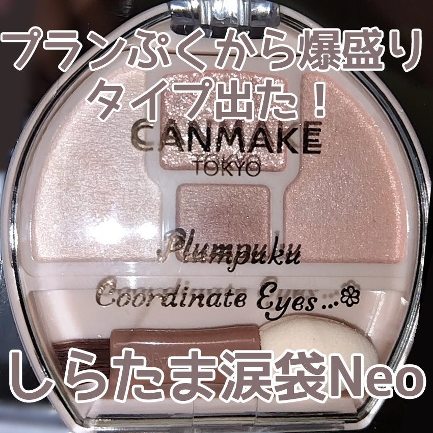 プランぷくコーデアイズNeo/キャンメイク/アイシャドウを使ったクチコミ(1枚目)
