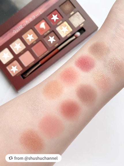 エクスプローラ12色 動物アイシャドウパレット/PERFECT DIARY/アイシャドウパレットを使ったクチコミ(5枚目)