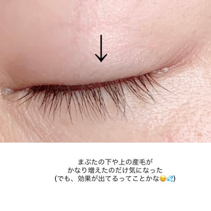 ダーマ ロングアクティブ アイラッシュセラム/LIPHIP(リップヒップ)/まつげ美容液を使ったクチコミ(5枚目)