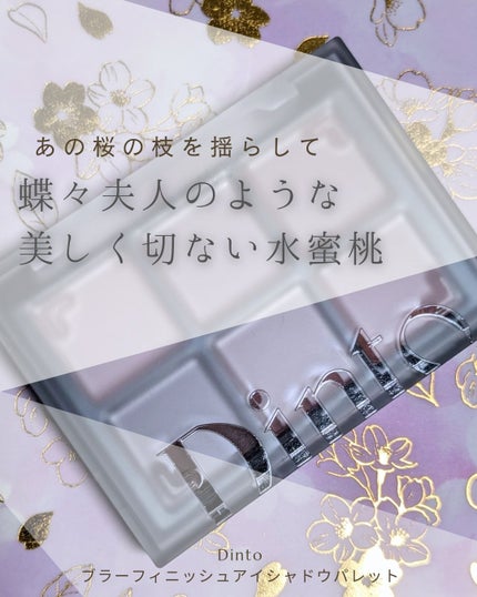 ブラーフィニシュシャドウパレット/Dinto/アイシャドウパレットを使ったクチコミ(1枚目)