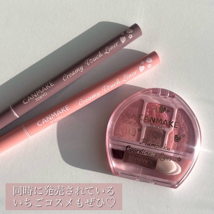 プランぷくコーデアイズ/キャンメイク/パウダーアイシャドウを使ったクチコミ(10枚目)