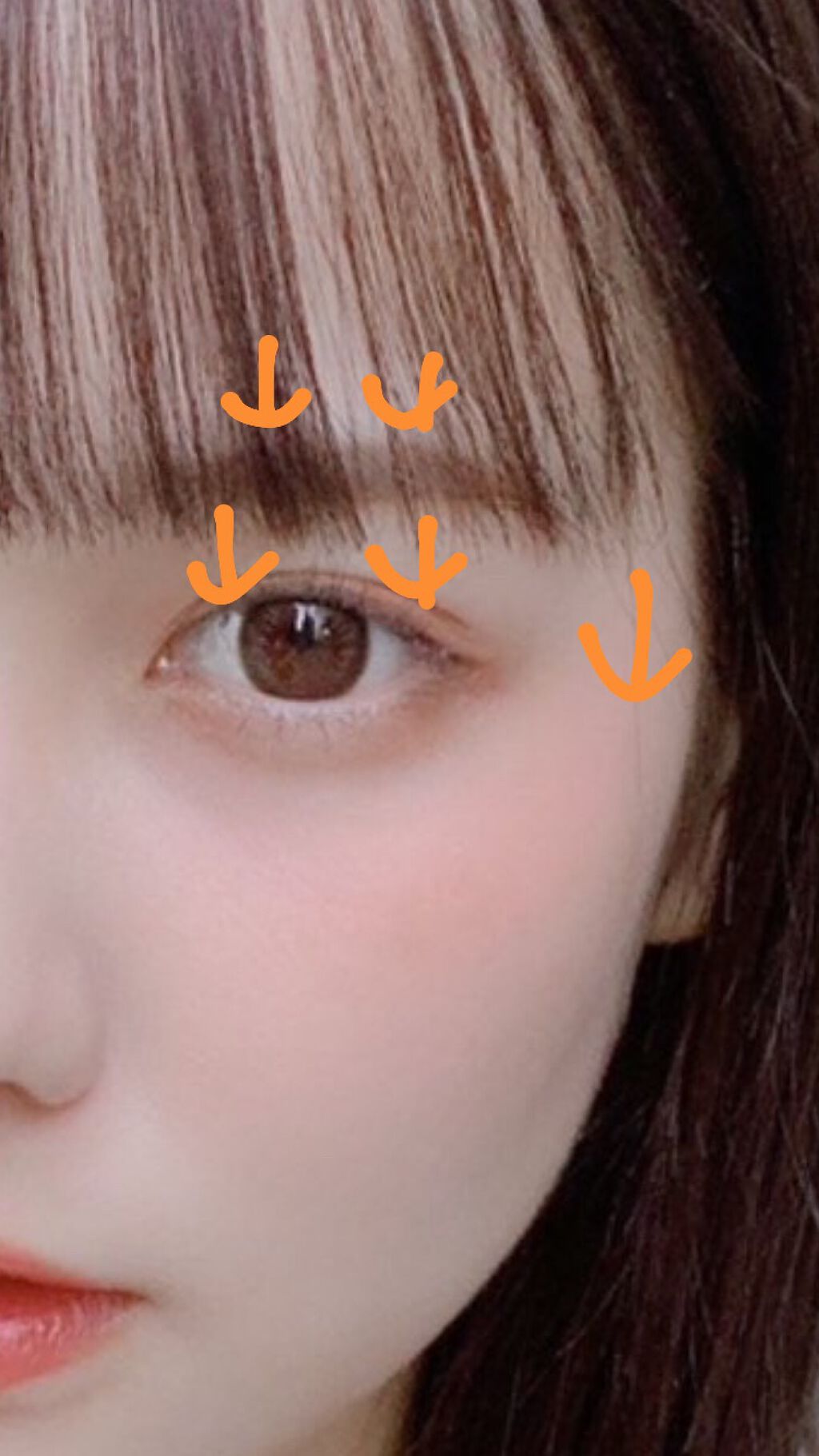 Bi Hada Ompa L ホルダー替刃2ヶ付 貝印の口コミ 私の顔の産毛処理について前まではカミソリを By さまる 敏感肌 Lips