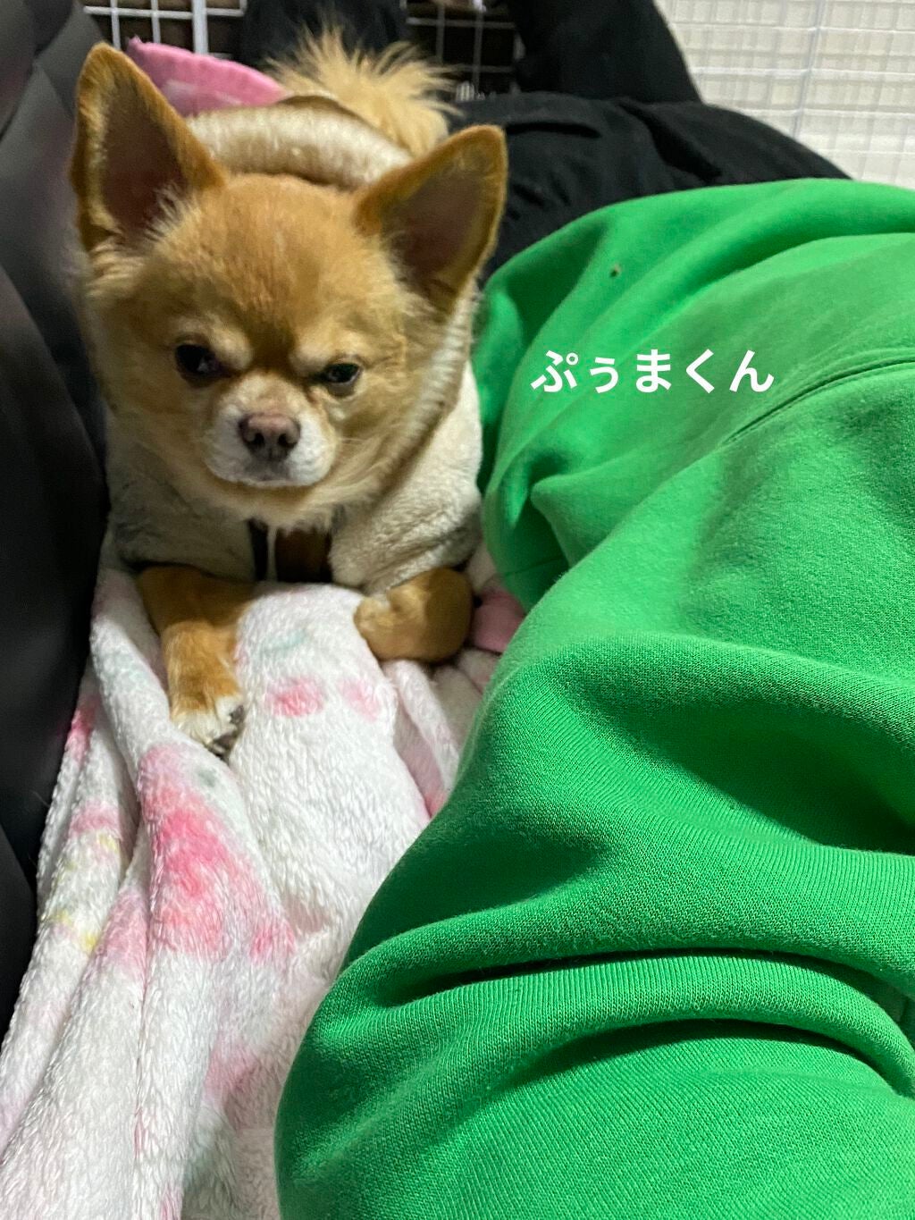 贅沢泡とろ 入浴料 スリーピングアロマの香り/お湯物語/保湿系入浴剤を使ったクチコミ(10枚目)