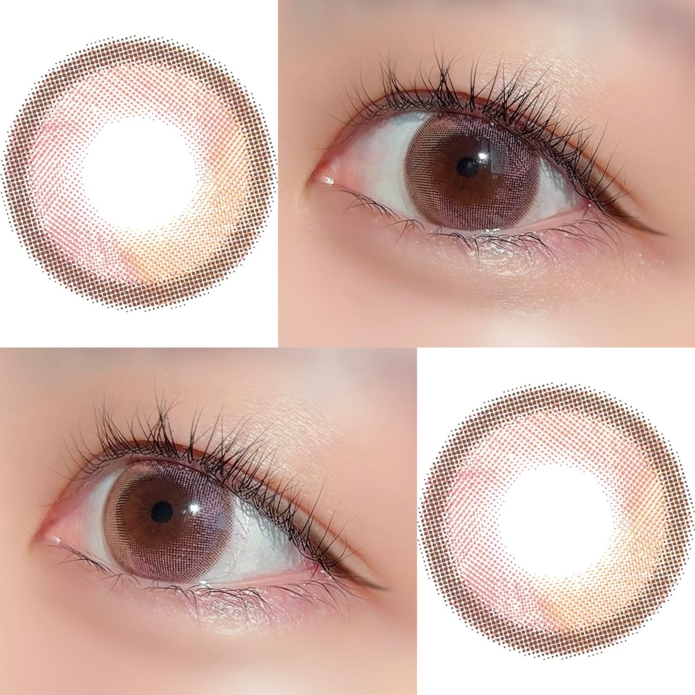 Ferenne 1day/Ferenne/ワンデー(1DAY)カラコンを使ったクチコミ(2枚目)