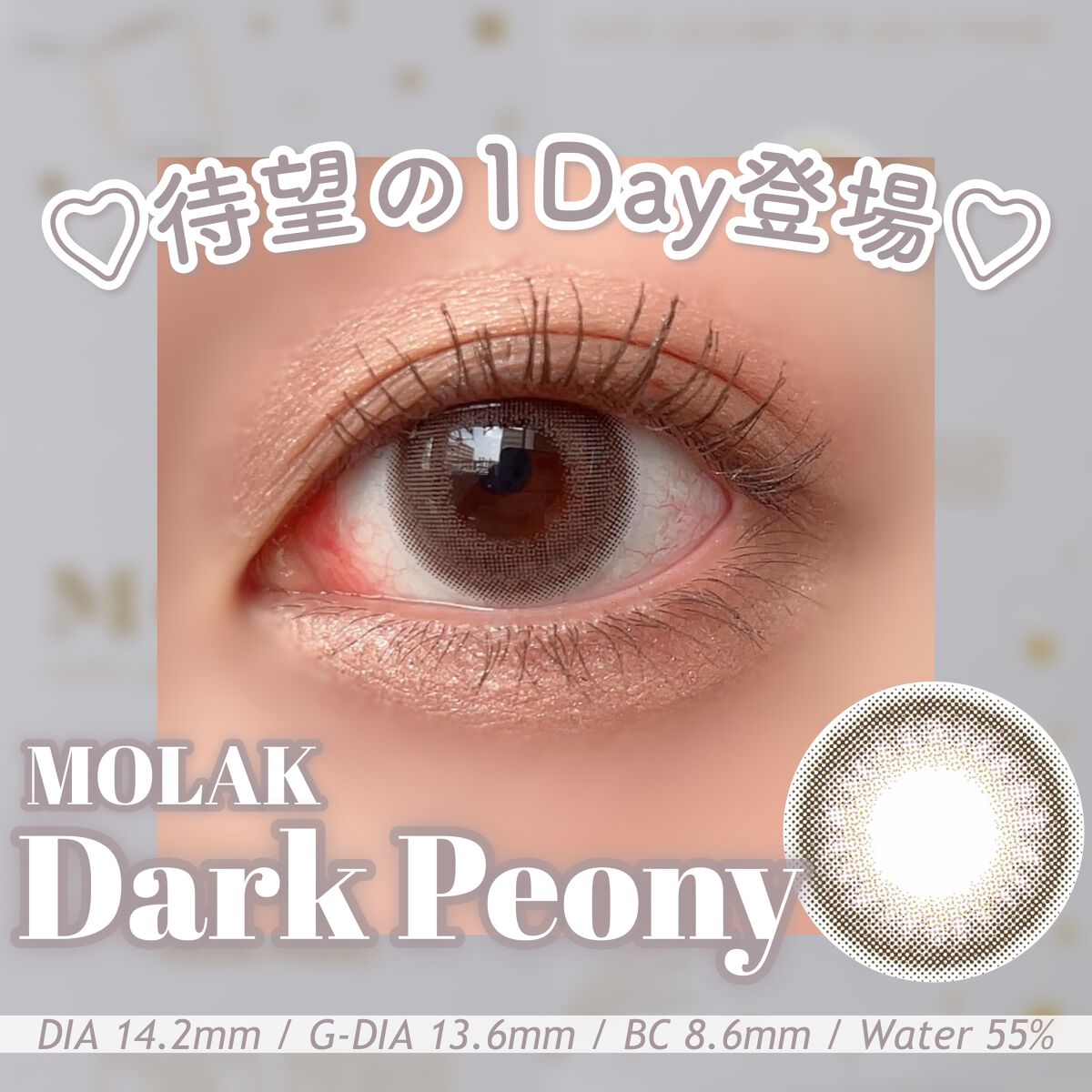 MOLAK 1day/MOLAK/ワンデー(1DAY)カラコンを使ったクチコミ(1枚目)