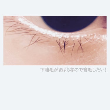 Multi-Peptide Lash and Brow serum/The Ordinary/まつげ美容液を使ったクチコミ（3枚目）