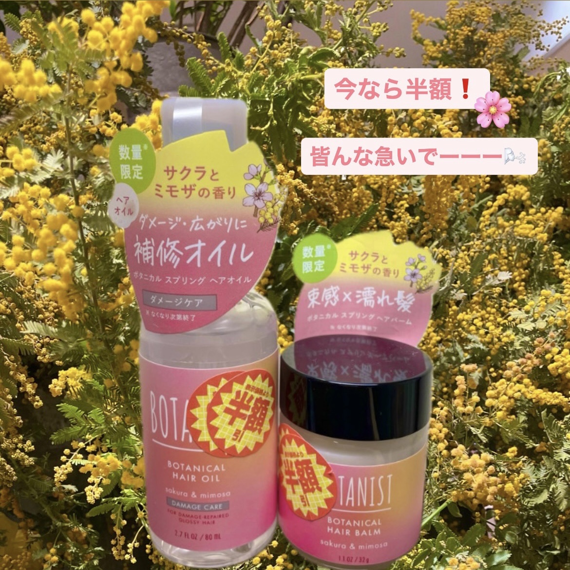 ボタニカルヘアオイル（モイスト）/BOTANIST/ヘアオイルを使ったクチコミ（2枚目）