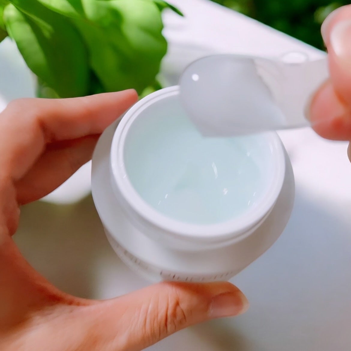 シカバイオプラセンタクリーム/NATURAL DERMA PROJECT/フェイスクリームを使ったクチコミ(3枚目)