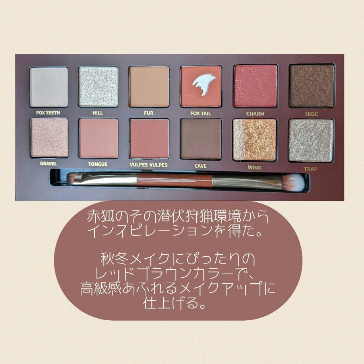 エクスプローラ12色 動物アイシャドウパレット/PERFECT DIARY/アイシャドウパレットを使ったクチコミ(2枚目)