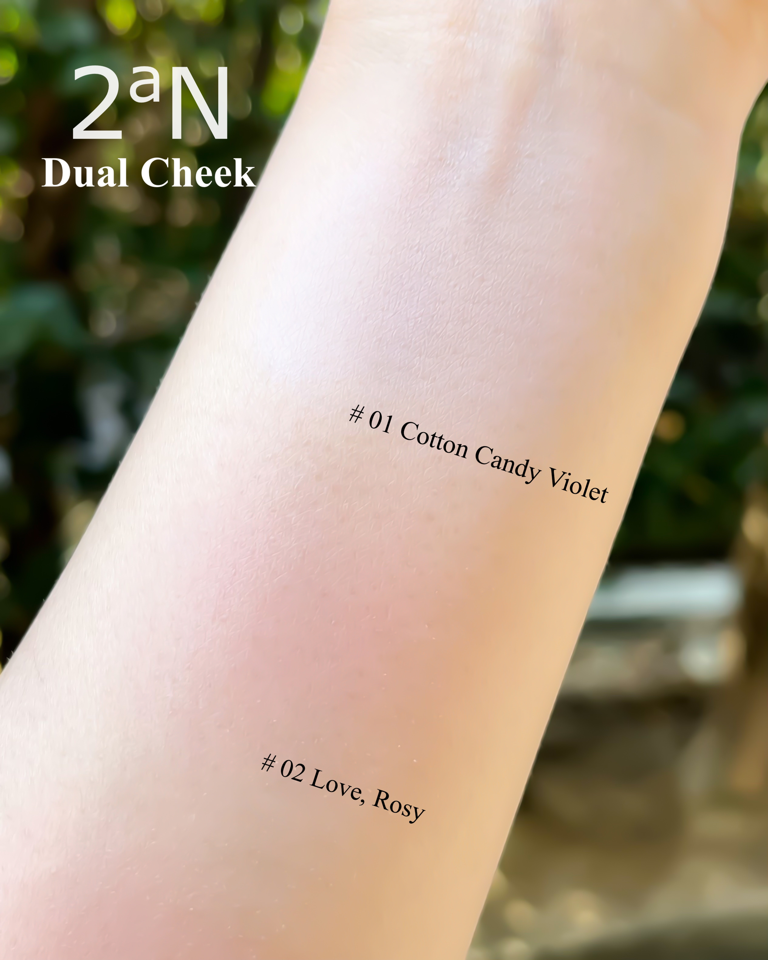 デュアルチーク｜2aNの使い方を徹底解説 - ❇︎ 2aNの