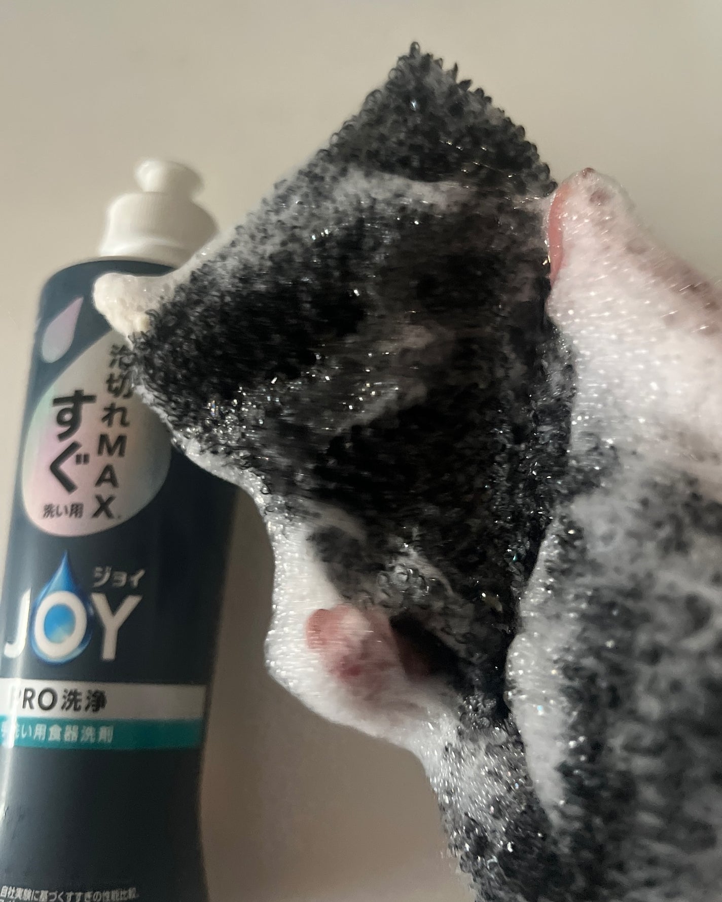 ジョイPROすぐ洗い用/JOY/その他を使ったクチコミ(3枚目)