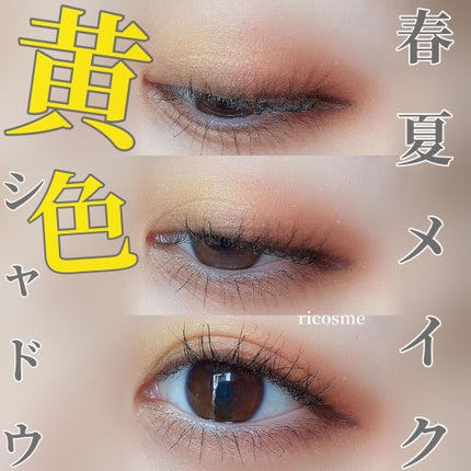 シルキースフレアイズ/キャンメイク/アイシャドウパレットを使ったクチコミ(1枚目)