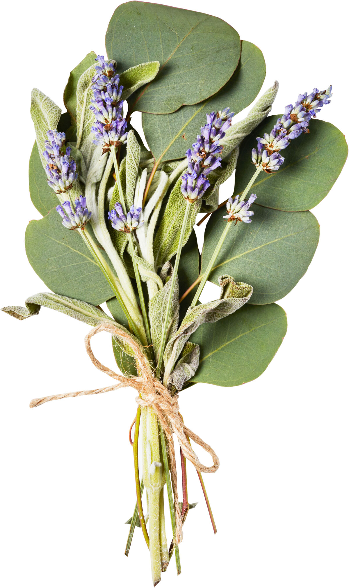 フレッシュ&フラワー ボックス 季節の花