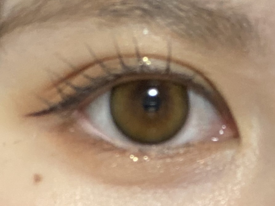 ブラーフィニシュシャドウパレット/Dinto/アイシャドウパレットを使ったクチコミ（1枚目）