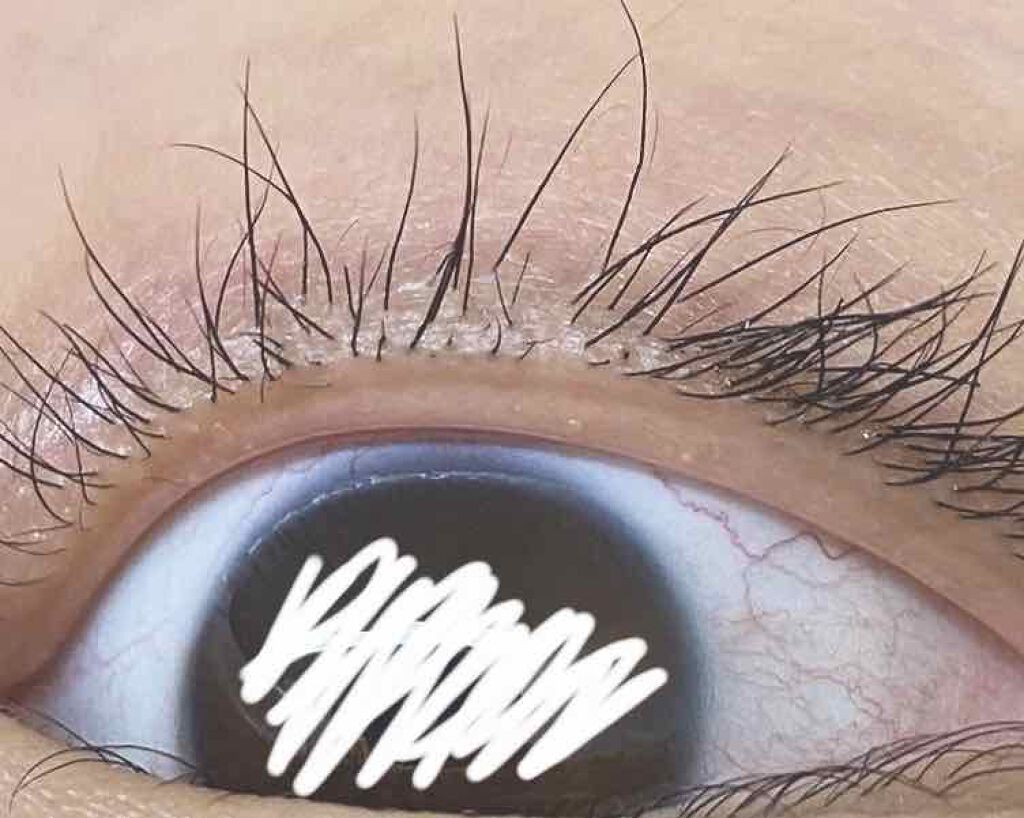 スカルプD ボーテ ピュアフリーアイラッシュセラム/アンファー(スカルプD)/まつげ美容液を使ったクチコミ(2枚目)