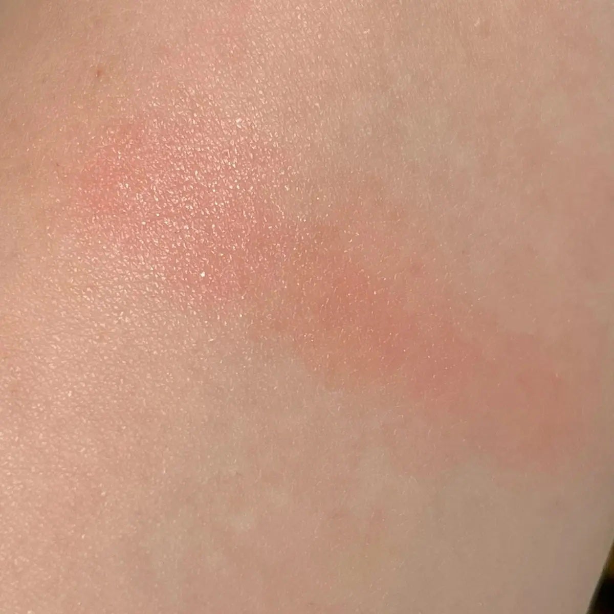 (Peter&Wendy Collection) Be My Wendy Melting Blusher/Dinto/ジェル・クリームチークを使ったクチコミ(4枚目)