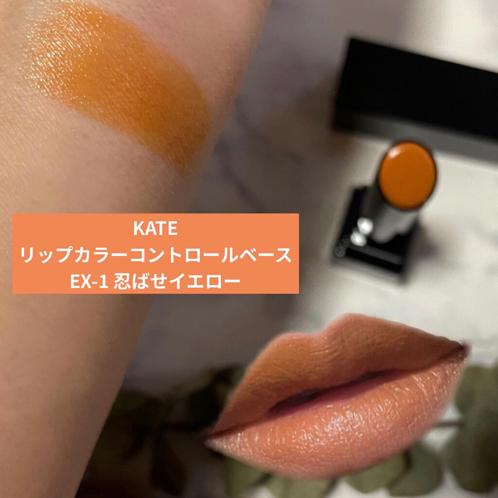 リップカラーコントロールベース /KATE/リップクリームを使ったクチコミ（1枚目）