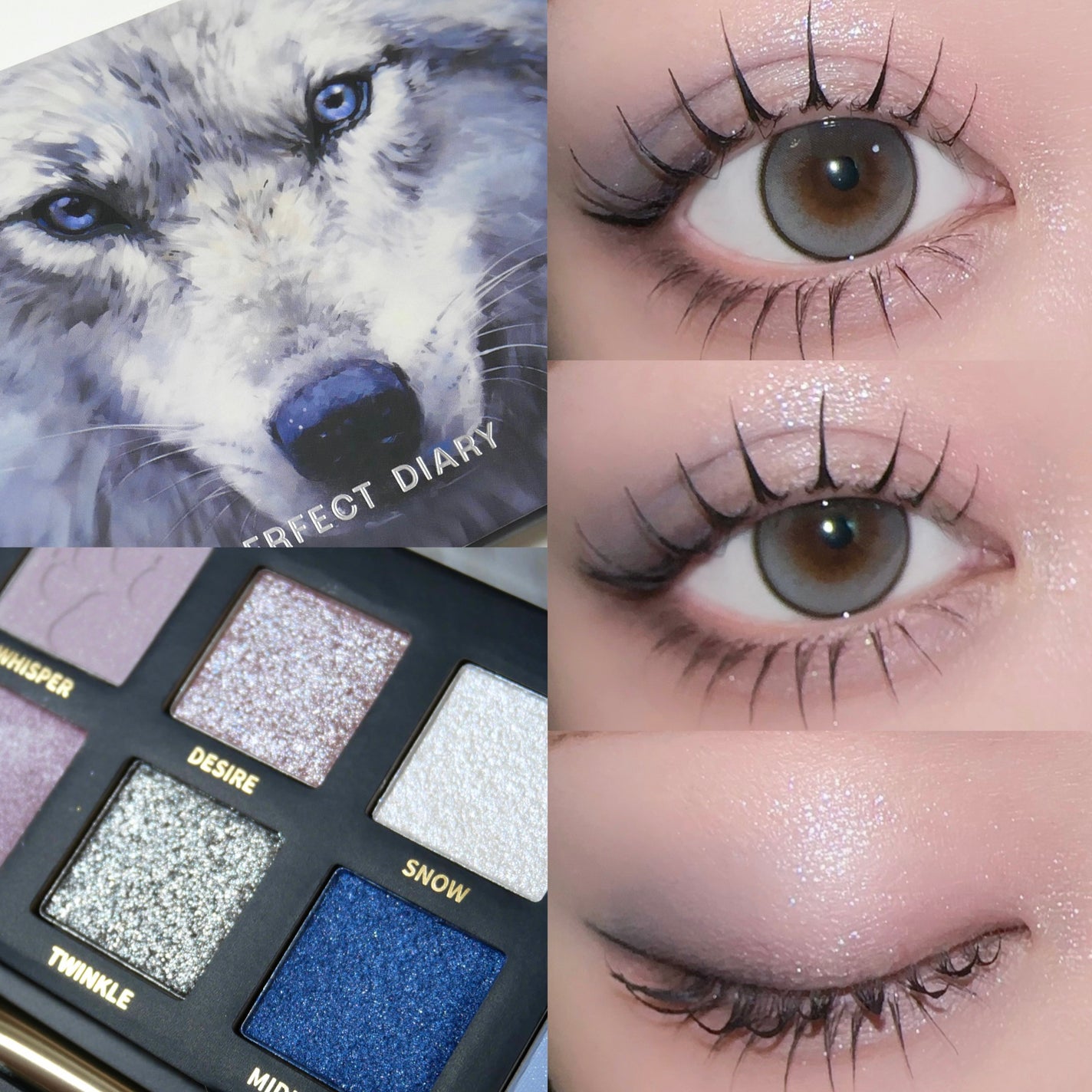 エクスプローラ12色 動物アイシャドウパレット/PERFECT DIARY/アイシャドウパレットを使ったクチコミ(3枚目)