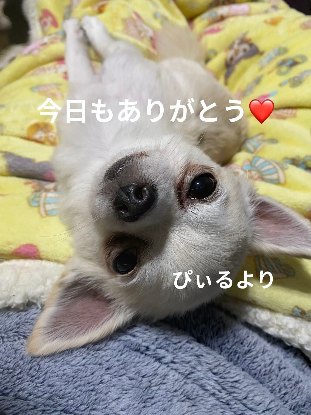 一番コフレ 鬼滅の刃 C賞ハンドクリーム/BANDAI SPIRITS/ハンドクリームを使ったクチコミ(7枚目)