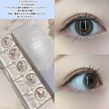 TOPARDS 1day/TOPARDS/ワンデー(1DAY)カラコンを使ったクチコミ(3枚目)