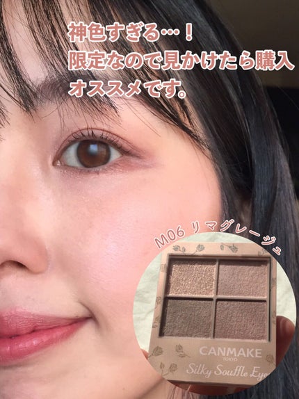 シルキースフレアイズ(マットタイプ)/キャンメイク/アイシャドウパレットを使ったクチコミ(6枚目)