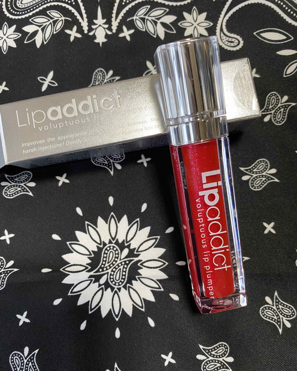 リップアディクト/soaddicted/リップグロスを使ったクチコミ（1枚目）
